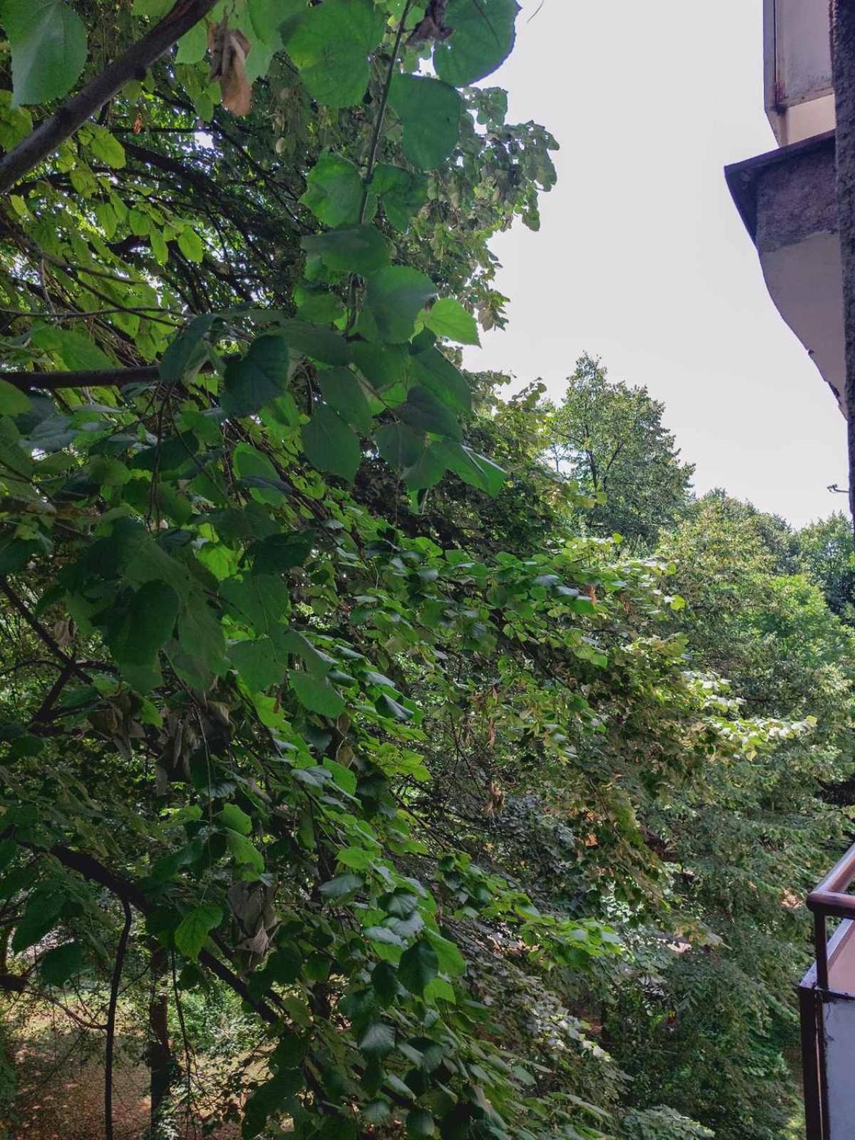 Apartman Rejna サラエヴォ エクステリア 写真