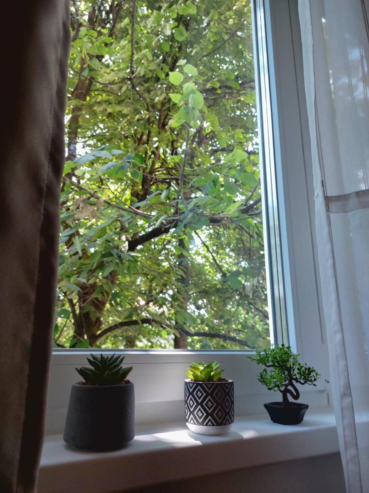 Apartman Rejna サラエヴォ エクステリア 写真