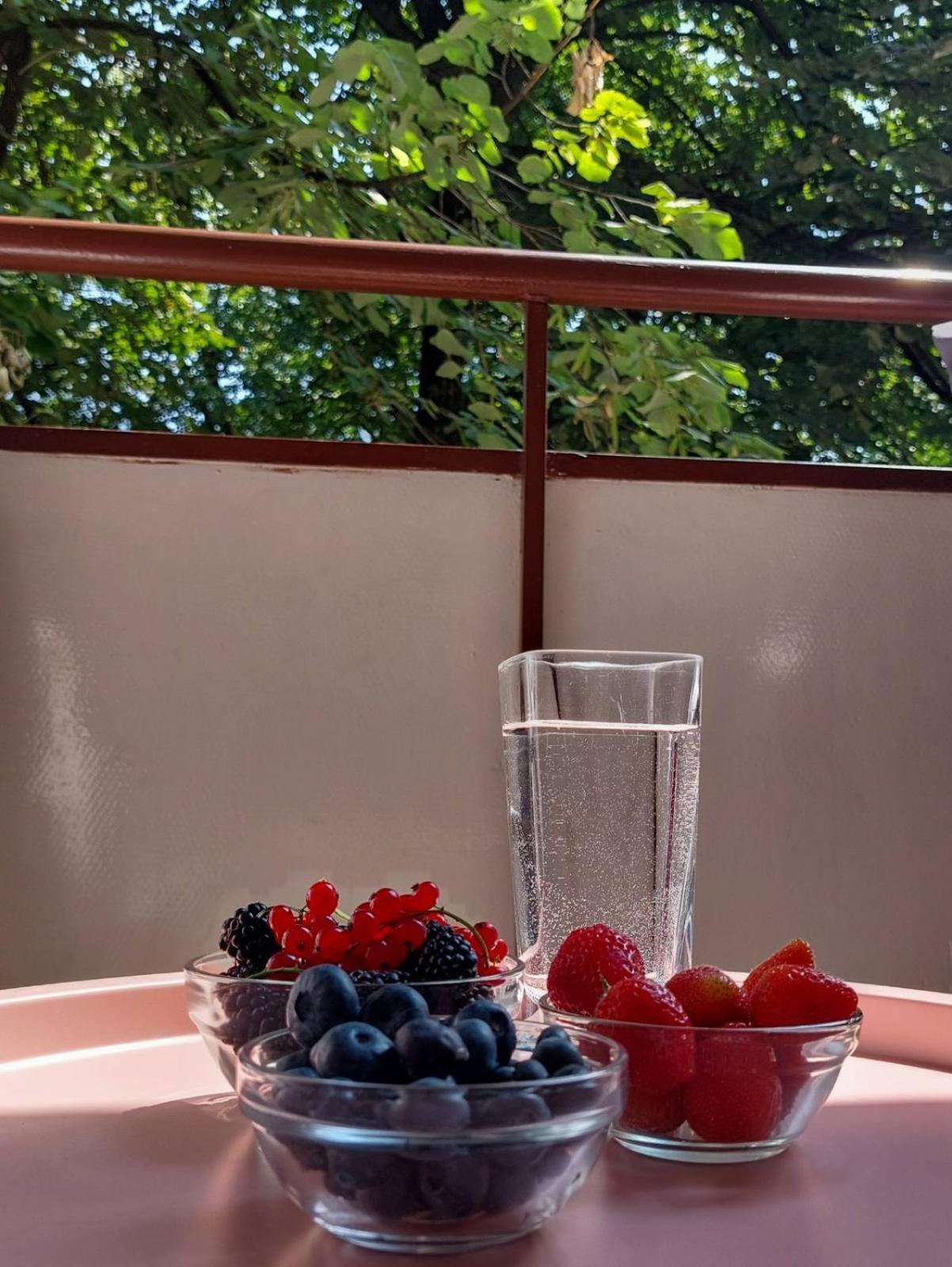 Apartman Rejna サラエヴォ エクステリア 写真